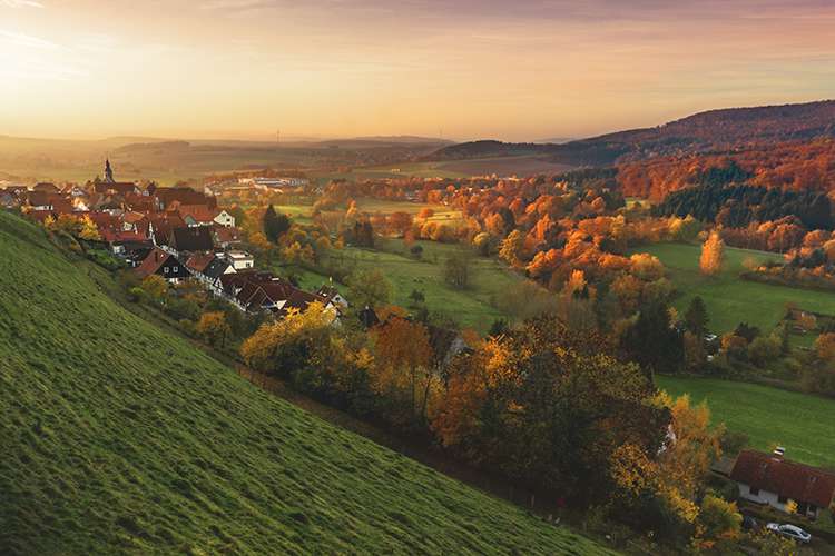 COVID-19 Know Your Rights: A Community Learning Session